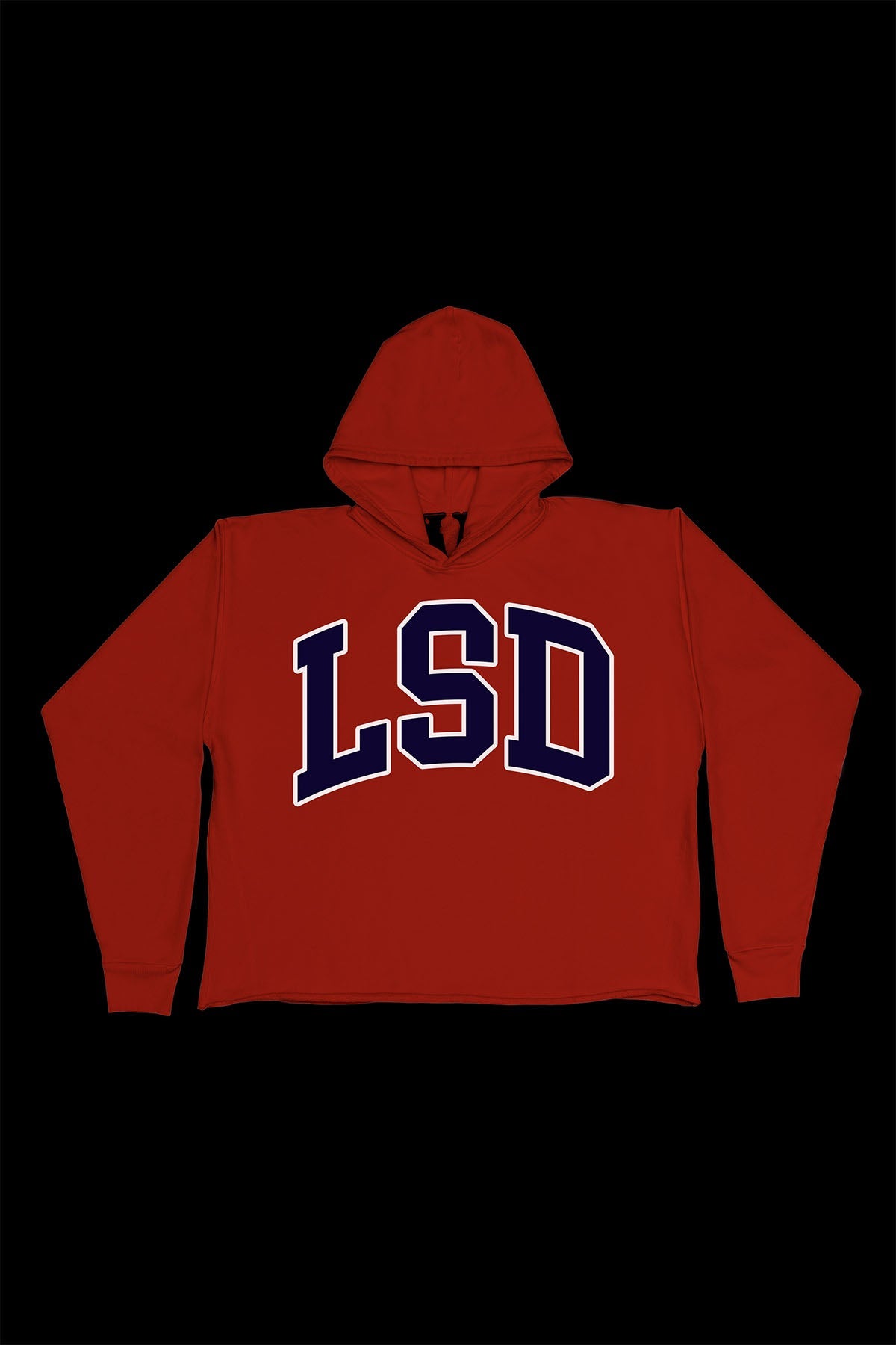 KUDOS LSD COLLEGE HOODIE