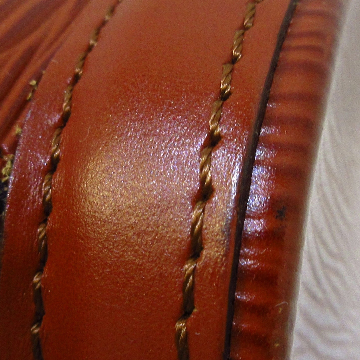 Saint Jacques PM Short Strap
