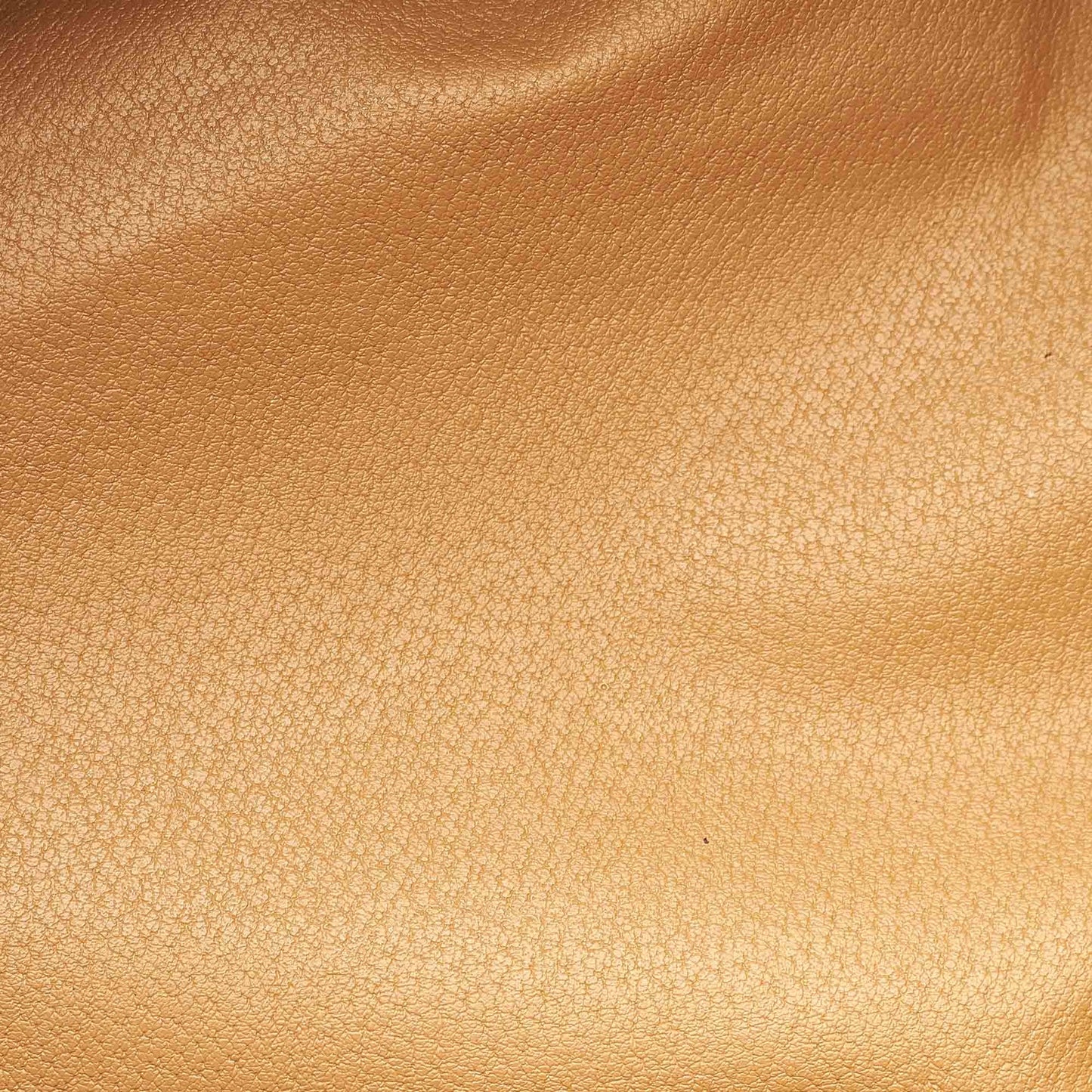 Macadam Handbag