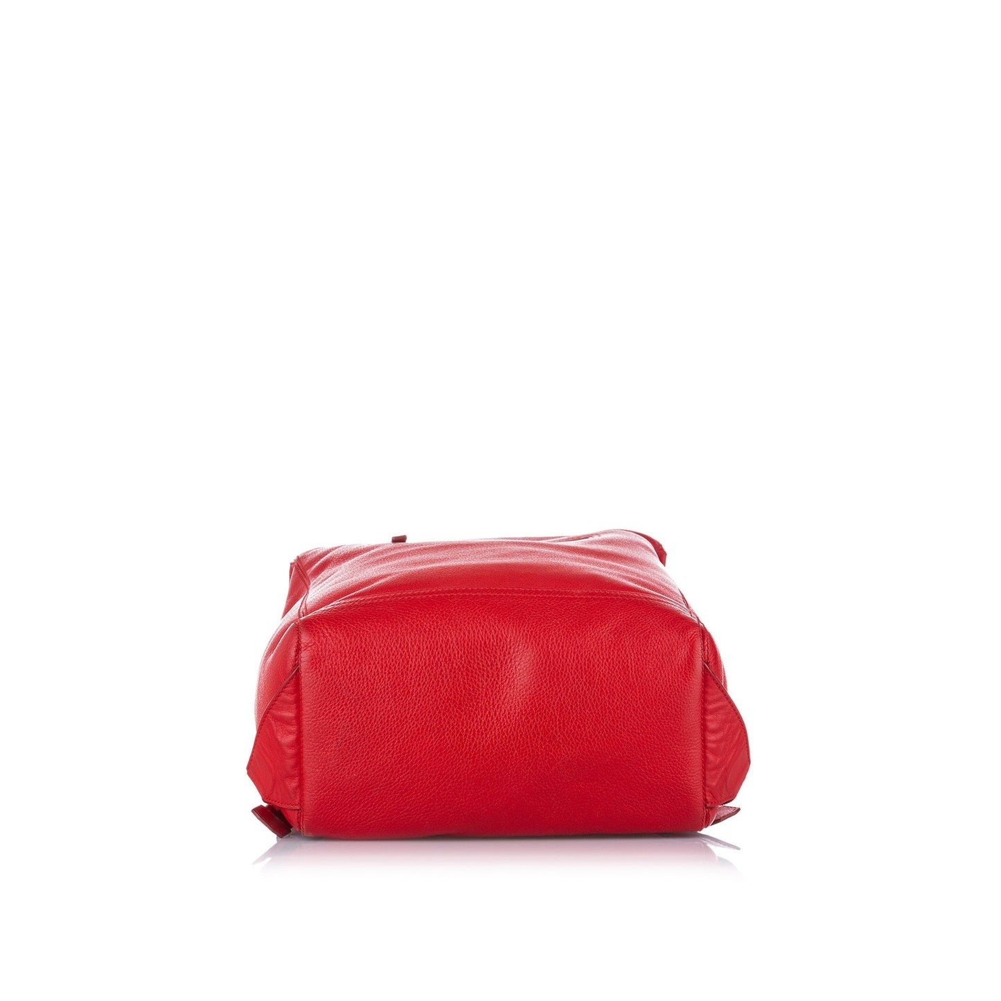Pandora Backpack