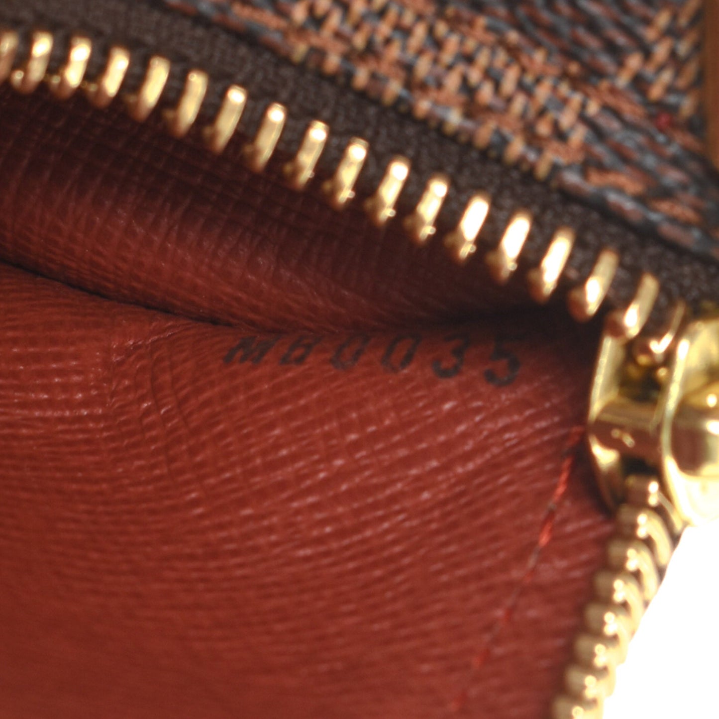 Papillon 30 with Pouch