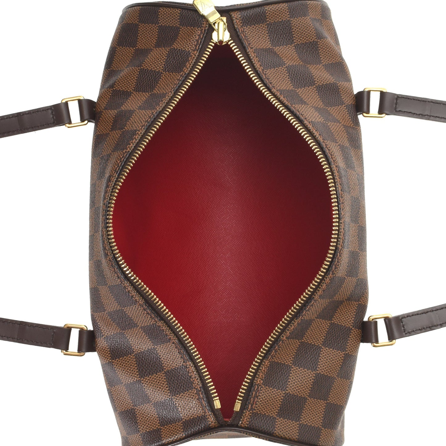 Papillon 30