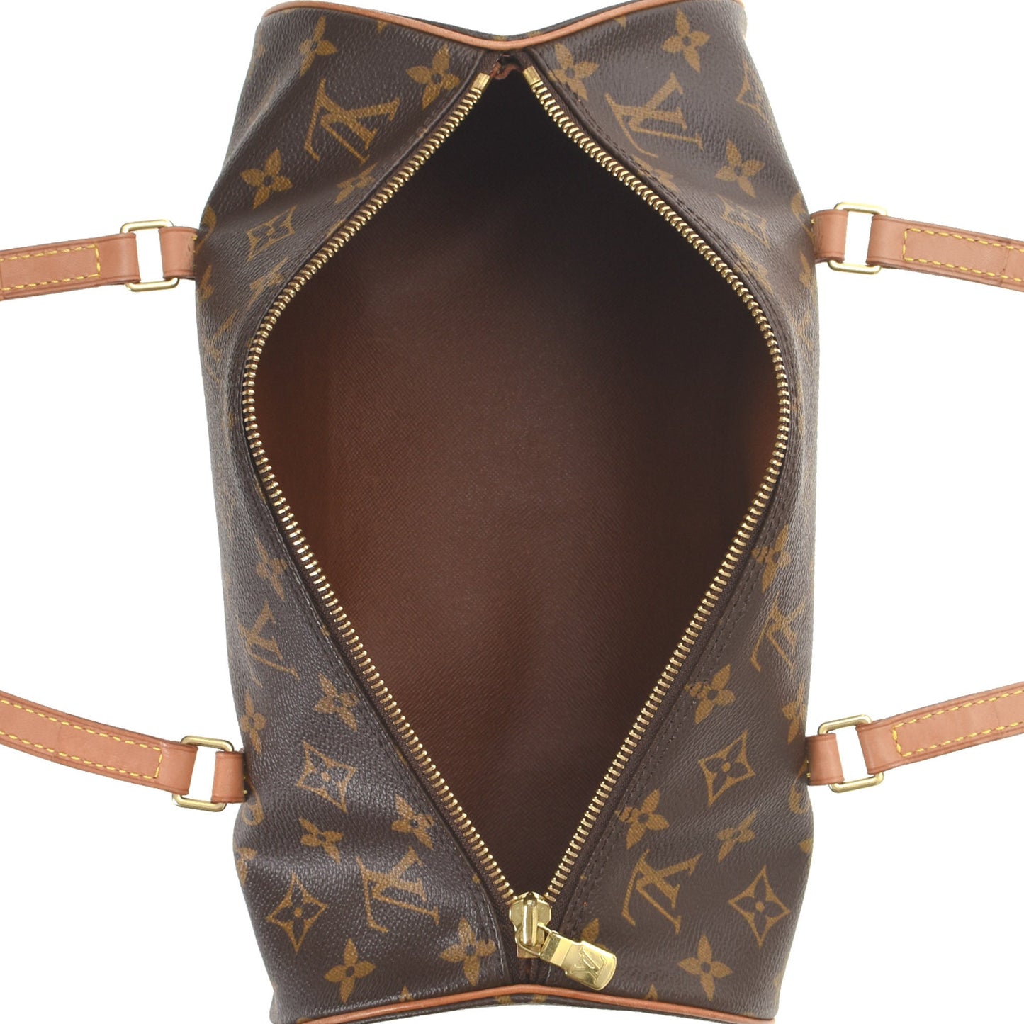 Papillon 30