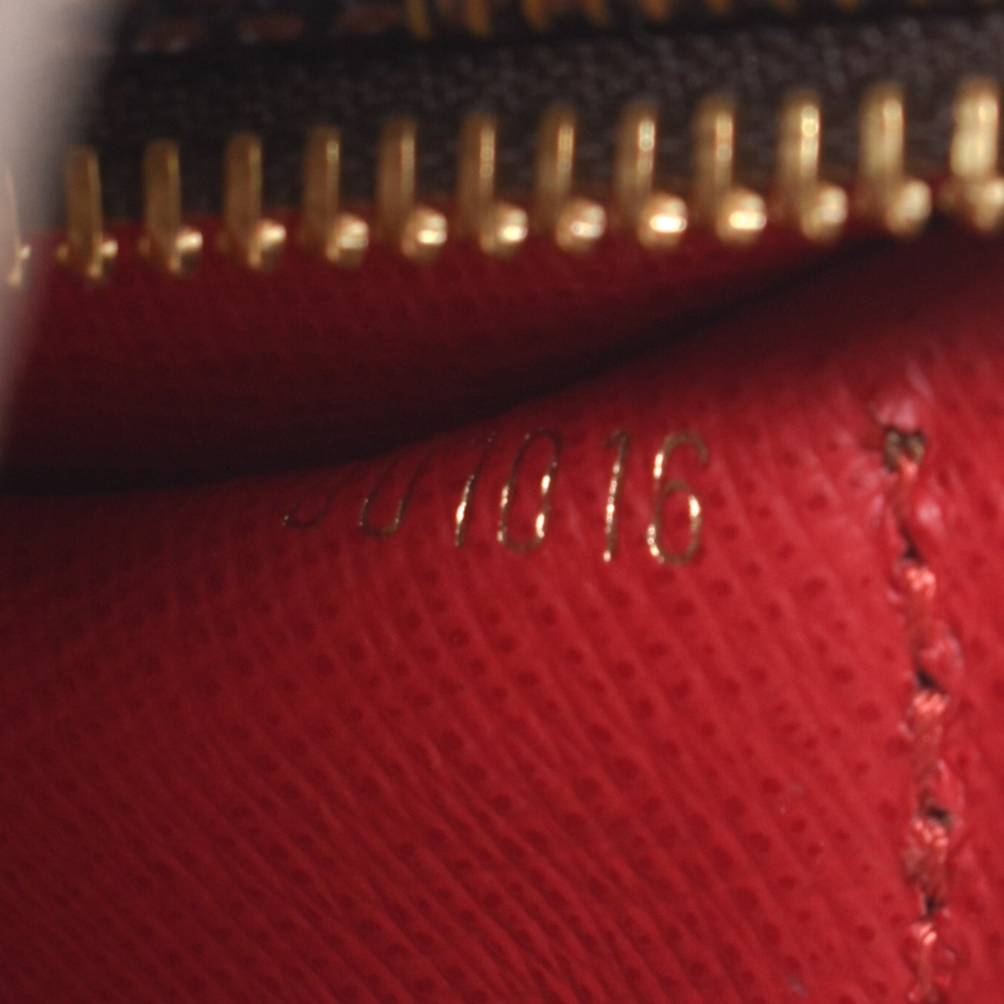 Papillon 30 with Pouch