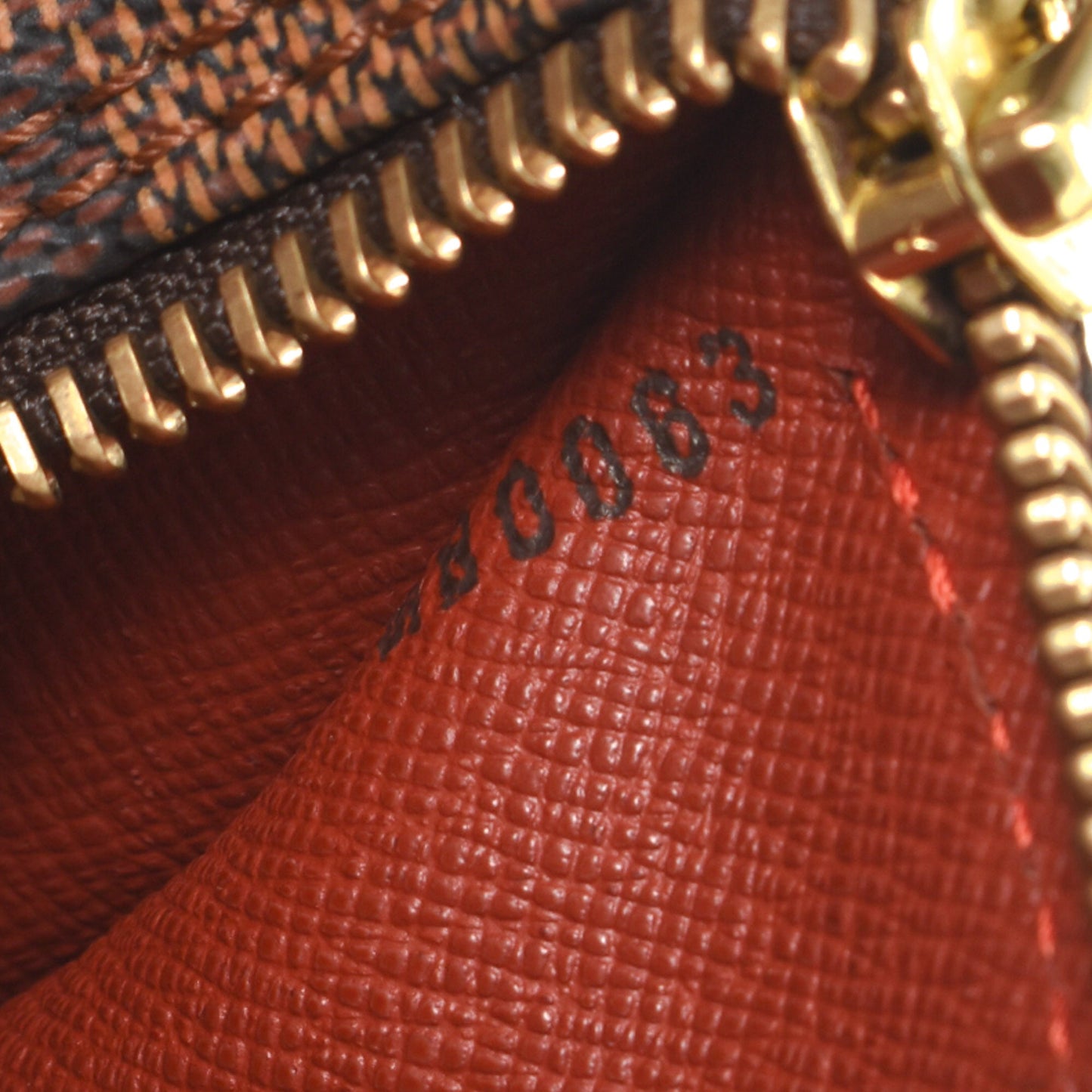 Papillon 30 with Pouch